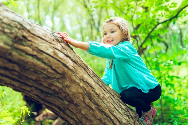 Little girl on tree in the summer on nature little girl — Stock Photo, Image