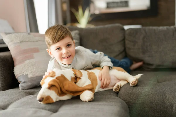 Счастливый ребенок в гостиной дома с собакой Бассет — стоковое фото