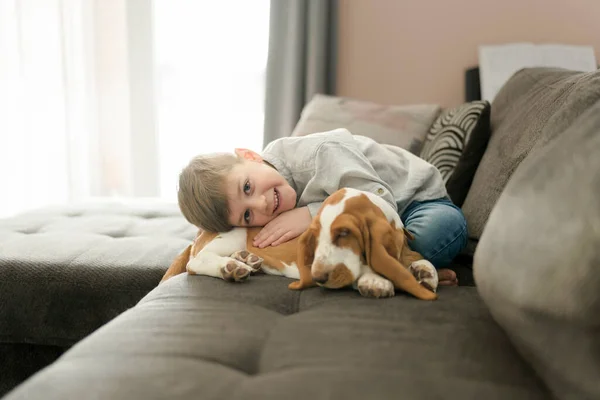 Счастливый ребенок в гостиной дома с собакой Бассет — стоковое фото