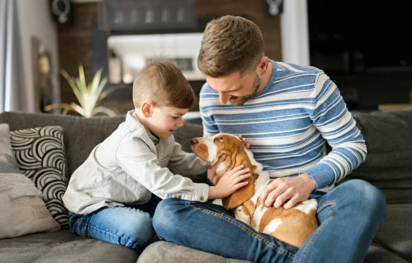 Father or Godfather having fun on the living room At Home with basset dog — Stock Photo, Image