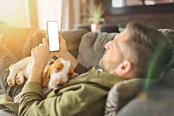 Man Playing With basset Pet Dog At Home sofa using his cellphone