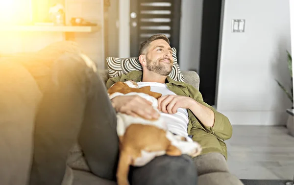Man Playing With basset Pet Dog At Home sofa. — Foto de Stock