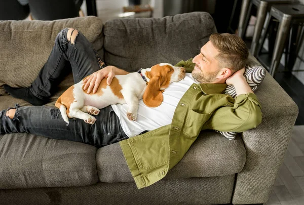 Man spelen met basset huisdier hond thuis bank. — Stockfoto