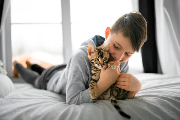 Bengal cat in the bed room with child boy — стоковое фото