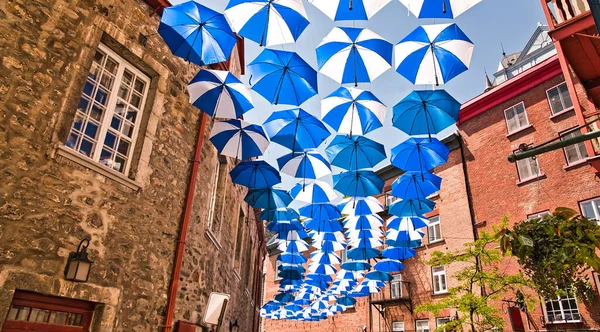 Kanada 'nın Quebec şehrinde Petit Champlain caddesinde bir sürü şemsiye var. — Stok fotoğraf