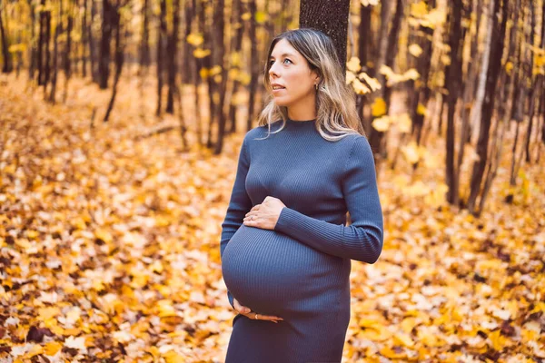 Autumn portrait of happy lovely and beautiful caucasian young pregnant woman in forest in fall color — Zdjęcie stockowe
