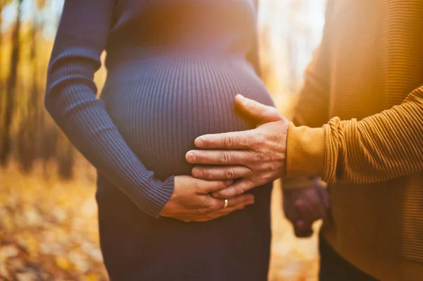 Mom and dad touching a belly with their baby, outside on a autumn — ストック写真
