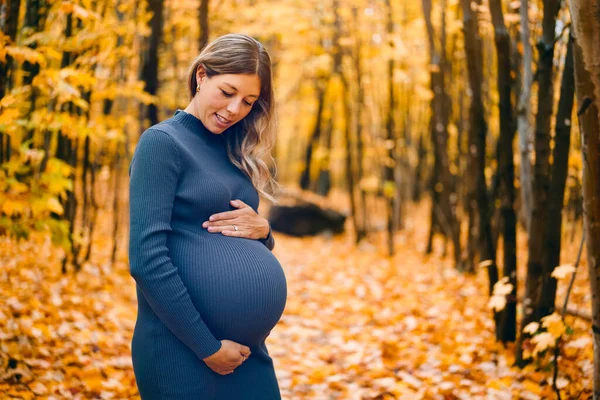 Осенний портрет счастливой милой и красивой белой молодой беременной женщины в лесу осеннего цвета — стоковое фото