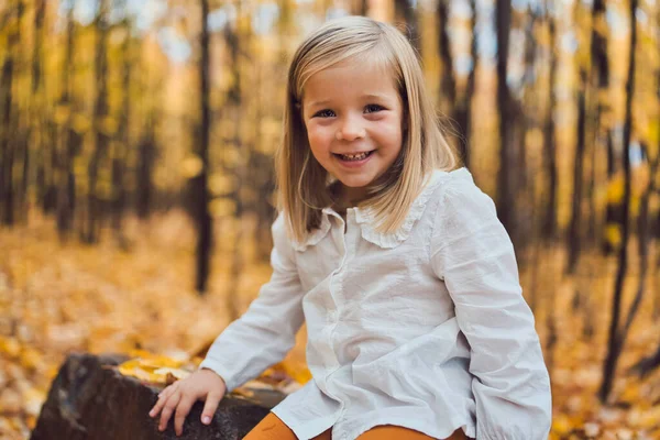 Bedårande liten flicka med höstlöv i skönhetsparken — Stockfoto