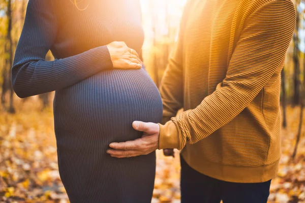 Mom and dad touching a belly with their baby, outside on a autumn — Stock fotografie