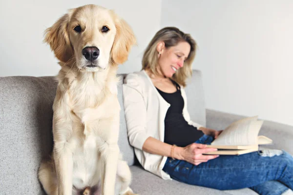 Žena se svým zlatým retrívrským psem na pohovce, která čte knihu — Stock fotografie