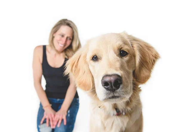 Nice woman and her beautiful Golden Retriever dog over white background — Stock fotografie