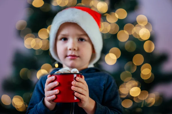 Menino em chapéu de Santa segurando uma xícara de chocolate quente com marshmallow — Fotografia de Stock
