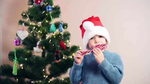 Malý chlapec v santa klobouk jíst cukrovou třtinu lízátko lo na Vánoce — Stock video