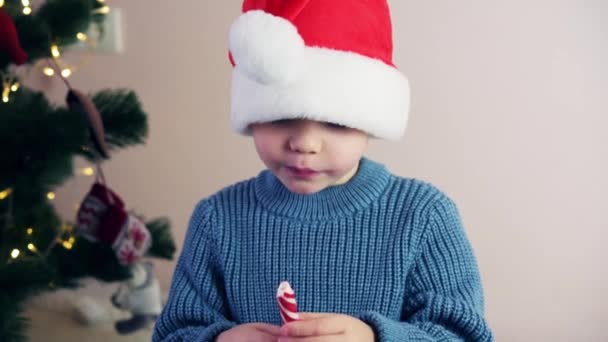 圣诞期间，戴着圣诞礼帽的小男孩吃着棒棒糖棒棒棒糖 — 图库视频影像