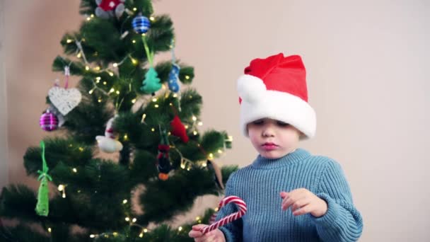 Niño en Santa sombrero comiendo caramelo bastón lollipop lo en Navidad — Vídeo de stock