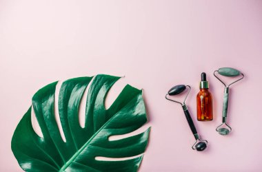Yüz serumlu kozmetik şişesi, gua sha yüz masajı ruloları ve pembe arka planda tropikal canavar yaprağı.
