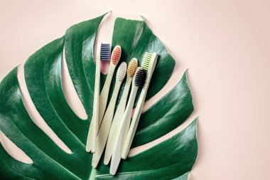 Yeşil Mostera yaprağında pembe arkaplanda bambu diş fırçaları