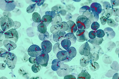 Soyut mavi ve yeşil sırtı yonca yapraklı.