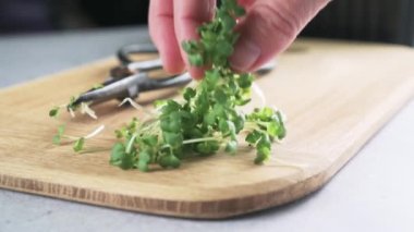 Mutfaktaki doğrama tahtasının üzerinde taze kesilmiş roka mikroçim filizleri, sağlıklı gıda eğilimleri.