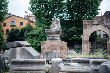 Eski Roma merkezinde yeşil ağaçlar ve antik kalıntılarla dolu işlek caddenin manzarası, İtalya 'da seyahat ve turizm