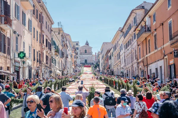 GENZANO, ITALY - JUNE 19: flower festival the Infiorata di Genzano on June 18, 2022 in Genzano, Italy, the magnificent flowery carpet made of petals