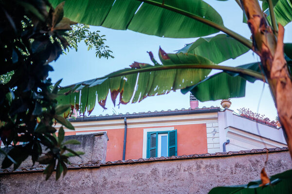 A shuttered window in the shade of big banana leaves in Rome Italy on a summer day