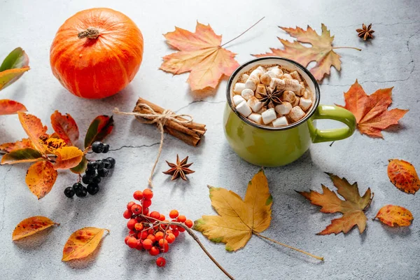 Cozy autumn hot drink with marshmallow, rowan berries, pumpkin and yellow maple leaves, a cup of marshmallow hot chocolote with cinnamon