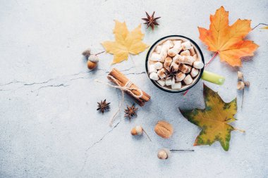 Cozy autumn hot drink with marshmallow and yellow maple leaves, a cup of marshmallow hot chocolote with cinnamon