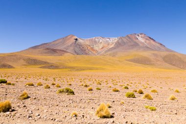 Bolivya Dağları manzarası, Bolivya. Andean Platosu manzaralı. Volkan manzaralı.