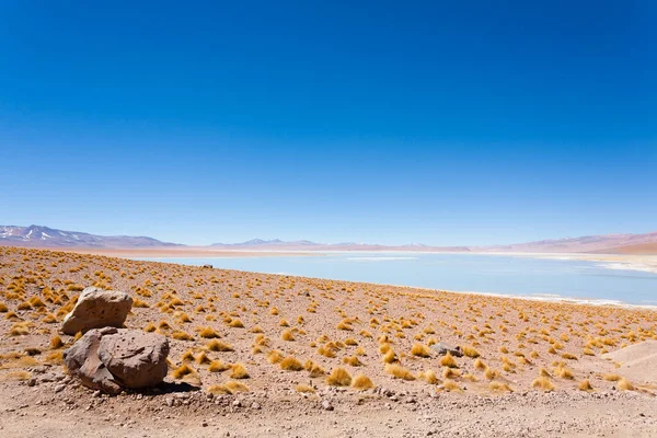 Paisaje Laguna Boliviana Aguas Termales Polques Bolivia — Foto de Stock