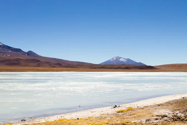 Laguna Hedionda Manzarası Bolivya Güzel Bir Bolivya Panoraması Mavi Gölü — Stok fotoğraf