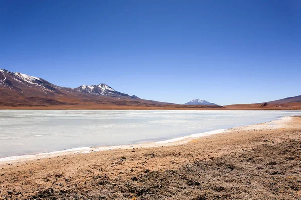 Laguna Hedionda Landscape Bolivia Beautiful Bolivian Panorama Blue Water Lagoon — Stock Photo, Image