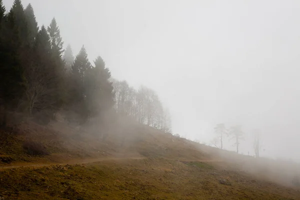 アジアゴ高原トレッキングパスから霧の風景 ヴェネトのランドマーク — ストック写真