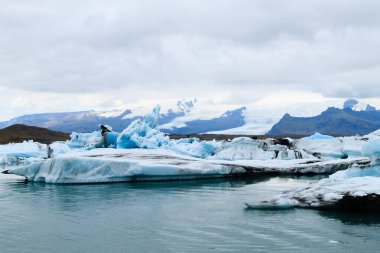 Jokulsarlon Buzul Gölü, İzlanda. Suda yüzen buzdağları. İzlanda manzarası