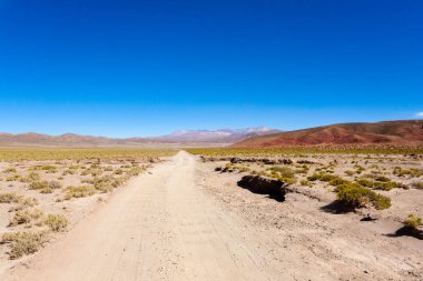 Bolivya Dağları manzarası, Bolivya. And Platosu manzarası.