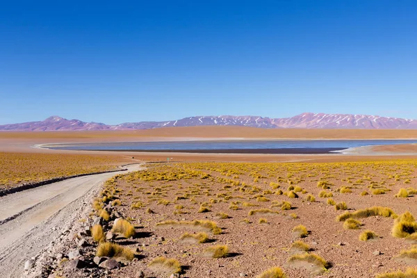 Boliviaanse Lagune Zicht Bolivia Kollpa Kkota Lagune Zicht Collpa Laguna — Stockfoto