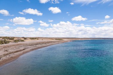 Punta Tombo plaj manzarası, Patagonya manzarası, Arjantin