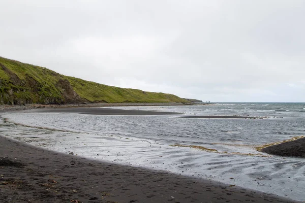 Hvitserkur sea stack, Iceland. Black sand beach. North Iceland landmark