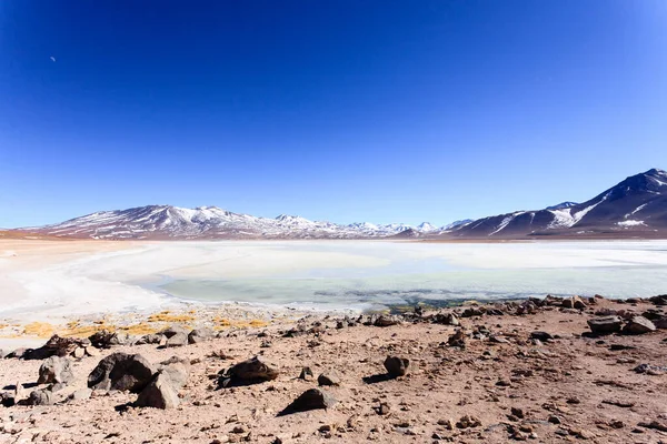 玻利维亚的Laguna Blanca风景 美丽的玻利维亚全景 白色的泻湖和利坎卡布尔火山 — 图库照片