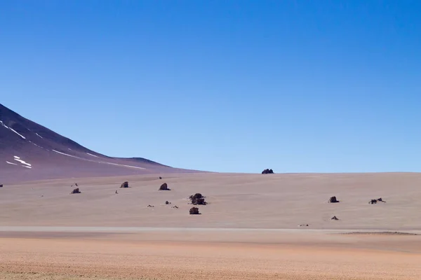 ボリビアの風景 サルバドールダリ砂漠の景色 美しいボリビア — ストック写真
