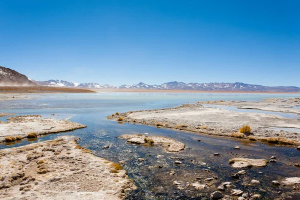 Paisaje Laguna Boliviana Aguas Termales Polques Bolivia — Foto de Stock