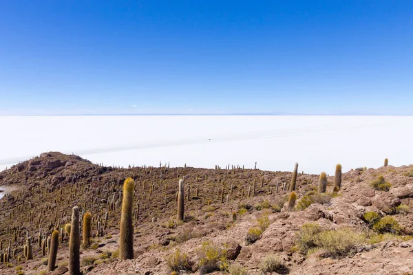 Bolivya 'nın İncahuasi adasından Salar de Uyuni manzarası. Dünyadaki en büyük tuz düzlüğü. Bolivya manzarası