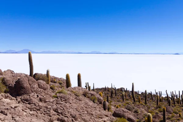 Bolivya 'nın İncahuasi adasından Salar de Uyuni manzarası. Dünyadaki en büyük tuz düzlüğü. Bolivya manzarası