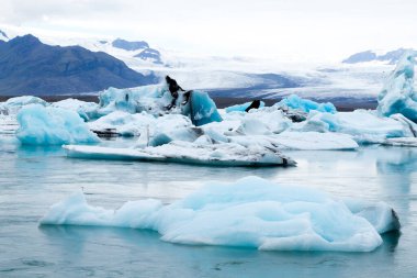 Jokulsarlon Buzul Gölü, İzlanda. Suda yüzen buzdağları. İzlanda manzarası