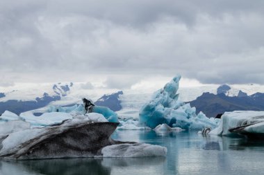 Jokulsarlon Buzul Gölü, İzlanda. Suda yüzen buzdağları. İzlanda manzarası