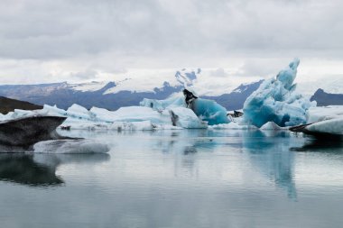 Jokulsarlon Buzul Gölü, İzlanda. Suda yüzen buzdağları. İzlanda manzarası