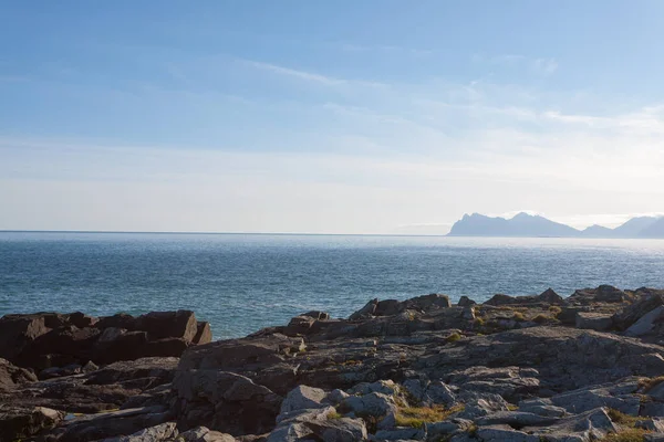 Hvalnes lav plajı manzarası, doğu İzlanda. İzlanda manzarası