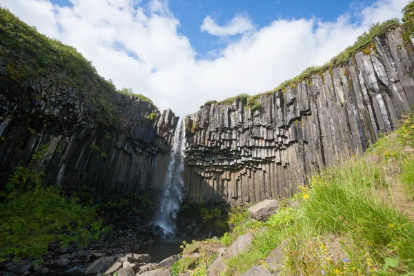 Свартіфосс Випадає Літній Сезон Ісландії Ісландський Ландшафт — стокове фото