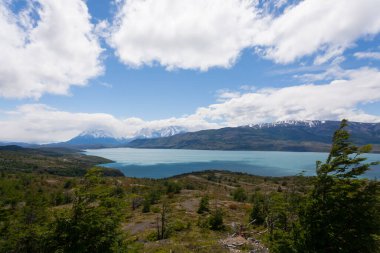 Torres del Paine Millî Parkı peyzaj, Şili. Lake Pehoe, Şili Patagonya